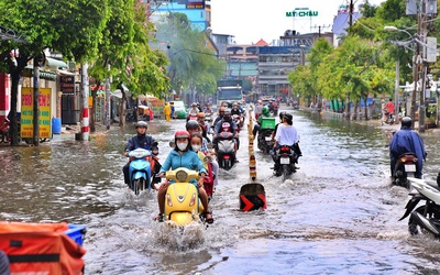 Bê tông hoá triển khai rộng rãi gây tình trạng ngập lụt