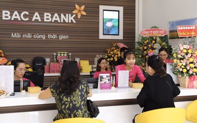 Bac A Bank báo lợi nhuận đi lùi, nợ xấu tăng lên 678 tỷ đồng