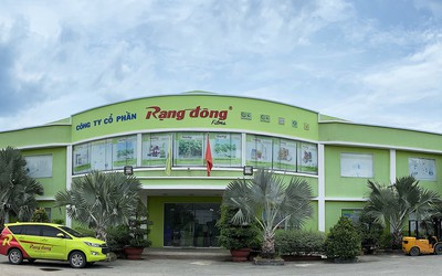 Cổ phiếu RDP lội ngược dòng tăng 23% trong 4 phiên