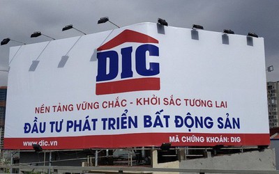 Phó Chủ tịch DIG lại mua "hụt" cổ phiếu