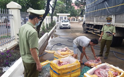 Đắk Lắk: Thu giữ 300kg thịt heo nái bốc mùi hôi thối