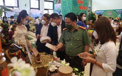 Đắk Nông quyết tâm tạo dựng cơ chế thông thoáng nhất với doanh nghiệp