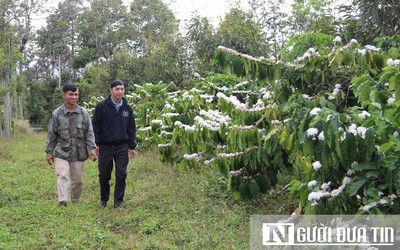 Đắk Lắk trải “thảm đỏ” đón nhà đầu tư vào phát triển nông nghiệp