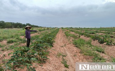 Hàng nghìn hộ dân thiếu nước tưới - Bài 3: Tìm lời giải cho bài toán "khát nước"