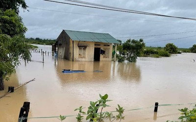 Đắk Lắk: Mưa lớn khiến 50 căn nhà ngập, thiệt hại 1.000 ha cây trồng