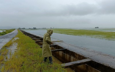 Một huyện ở Đắk Lắk thiệt hại 67 tỷ đồng do mưa lũ