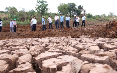 Các tỉnh Tây Nguyên gồng mình chống hạn