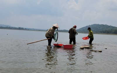 Mưu sinh trên hồ đẹp nhất Buôn Ma Thuột và niềm vui của nhiều cần thủ