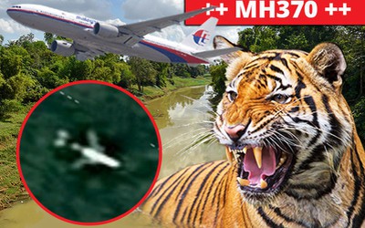 Hổ dữ chặn đường nhóm tìm kiếm MH370