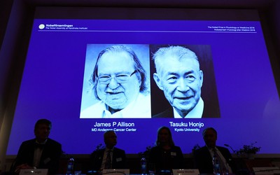 Nobel Y học 2018: Cơ hội mới cho bệnh nhân ung thư?