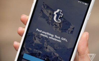 Tumblr thừa nhận bị xóa khỏi App Store vì nội dung khiêu dâm trẻ em