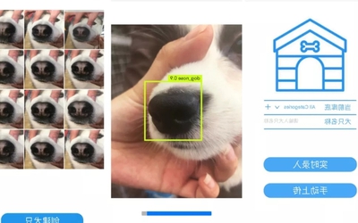 Công ty Trung Quốc sử dụng công nghệ nhận diện khuôn mặt để "tìm chó lạc"