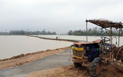 Mưa lụt khác thường, hàng ngàn hecta lúa mới sạ bị ngập