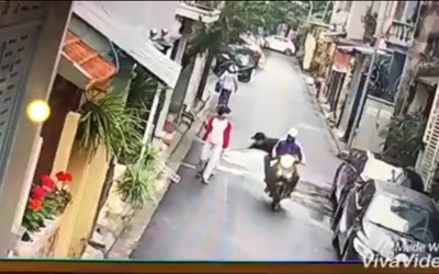 Clip: "Cẩu tặc" ngang nhiên cướp chó trong tay chủ giữa ban ngày