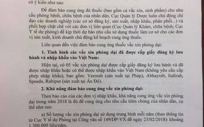 Bảo đảm cung ứng đủ vắc xin phòng bệnh dại trong mùa hè