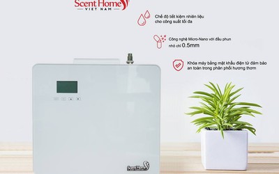 Scent Homes – Doanh nghiệp mới tham vọng “cách mạng” ngành mùi hương