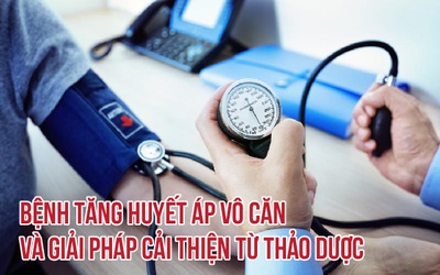 Bệnh tăng huyết áp vô căn và giải pháp cải thiện từ thảo dược