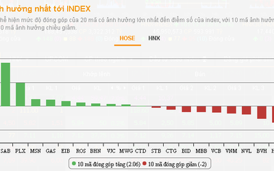 VPB giảm 8% sau 2 phiên, VNIndex rơi dưới mức tham chiếu