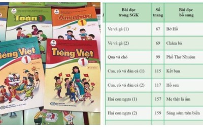 Sửa lỗi sách giáo khoa kiểu “chữa cháy”, nên chăng?