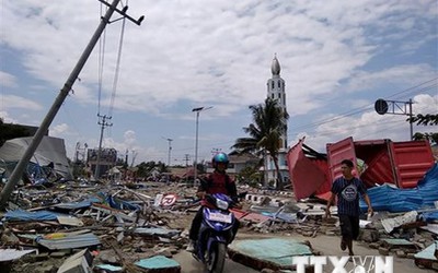 Động đất, sóng thần Indonesia: Chưa có tin người Việt thương vong