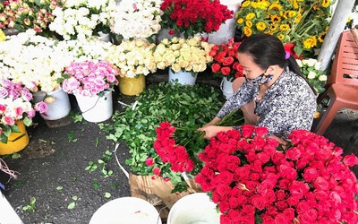 Lý do hoa Đà Lạt khan hiếm, tăng giá