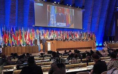 Việt Nam trúng cử thành viên Hội đồng Chấp hành UNESCO nhiệm kỳ 2021-2025