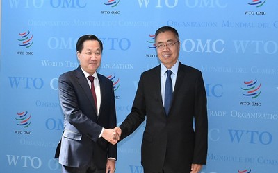 Việt Nam coi trọng vai trò trung tâm của WTO