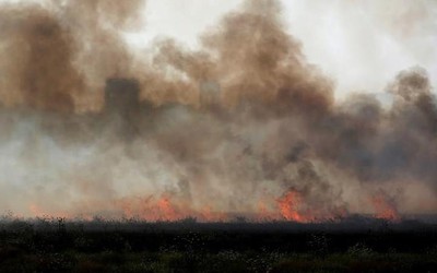 Israel trả đũa Palestine vì những vụ "tấn công bằng diều lửa"