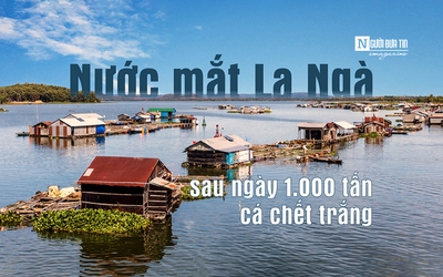 [E] Nước mắt La Ngà sau ngày 1.000 tấn cá chết trắng