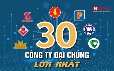 [Info] 30 công ty đại chúng lớn nhất Việt Nam: Sự trỗi dậy của doanh nghiệp tư nhân