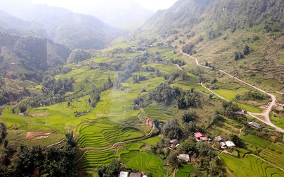 Mùa thu về, lên ngay Fansipan ngắm ruộng bậc thang đã nức thơm hương lúa