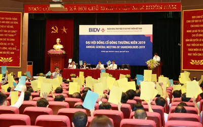 BIDV đặt kế hoạch lợi nhuận 10.300 tỷ đồng năm 2019