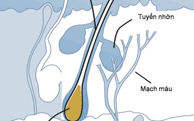 Phương pháp “thần kỳ” giúp tóc mọc dày gấp đôi tại bệnh viện Quốc tế DNA