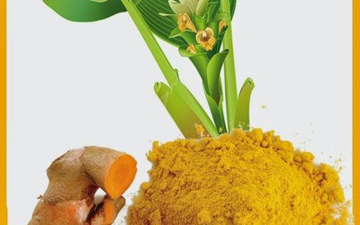 Nano Curcumin là gì? Sữa Nghệ Nano Curcumin Collagen có tốt không?