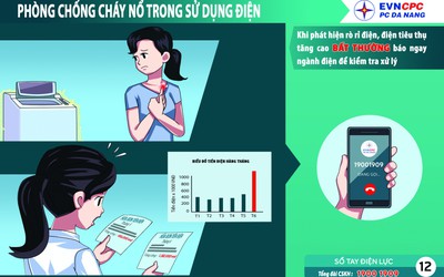 PC Đà Nẵng tuyên truyền an toàn điện ngày Tết