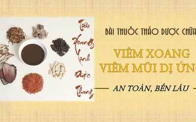 Bác sĩ Lê Phương chia sẻ bài thuốc thảo dược dùng trong điều trị viêm xoang, viêm mũi dị ứng