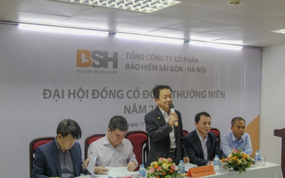 Bảo hiểm BSH đạt tăng trưởng doanh thu cao nhất thị trường năm 2019