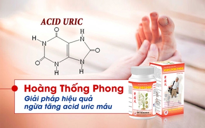 Hoàng Thống Phong - Giải pháp hiệu quả ngừa tăng acid uric máu