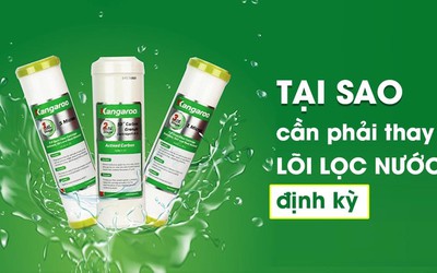 Tại sao cần phải thay lõi lọc nước định kỳ?