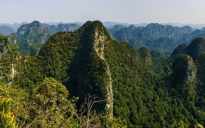 Công tác quản lý bảo vệ rừng tại VQG luôn được xác định là nhiệm vụ trọng tâm hàng đầu