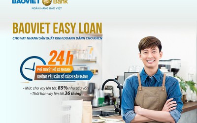 BAOVIET Easy Loan – Vay vốn chỉ trong 24 giờ