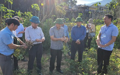 Điện Biên: Nâng cao nhận thức, trách nhiệm của cả hệ thống chính trị về giảm nghèo bền vững giai đoạn 2021-2025