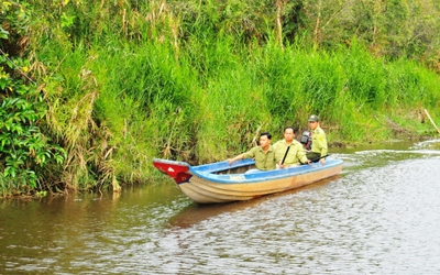 Đầu mùa mưa, cảnh giác với nguy cơ cháy rừng