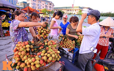 Tại sao lại phải ‘giết sâu bọ’ vào sáng sớm Tết Đoan Ngọ?