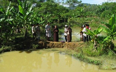 Nỗi đau một gia đình có 3 con trẻ chết đuối