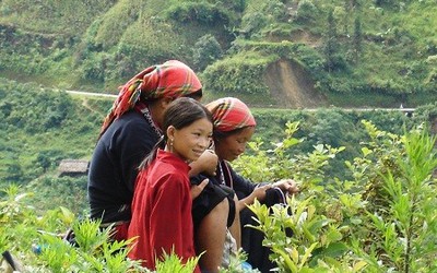 Một lần đi “ngủ ngửi” để chọn vợ