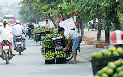 Việt Nam có nguy cơ trở thành "bãi thải" của thế giới