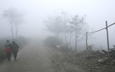 Ba trời Y Tý có một trời để yêu