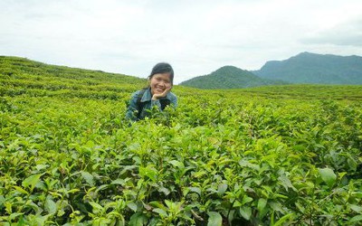 Đông Giang - bài học vỡ lòng cho kẻ lãng du