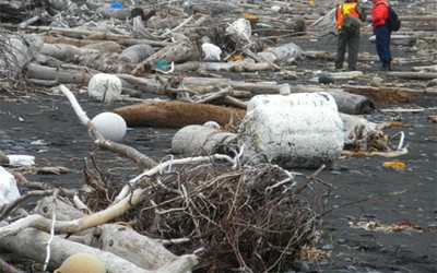 Alaska ngập ngụa trong rác sóng thần Nhật Bản